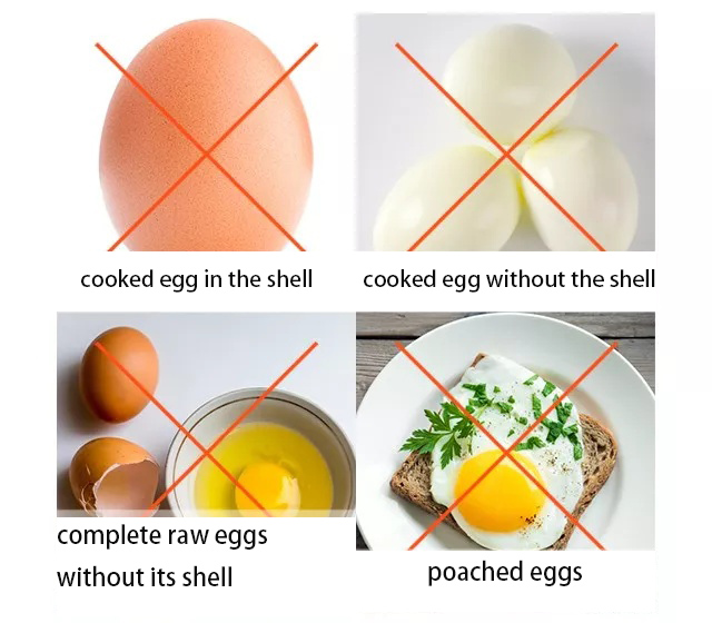 eggs-cant-be-directly-cooked-in-microwaves