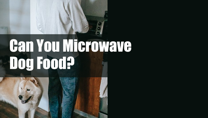 can-you-microwave-dog-food