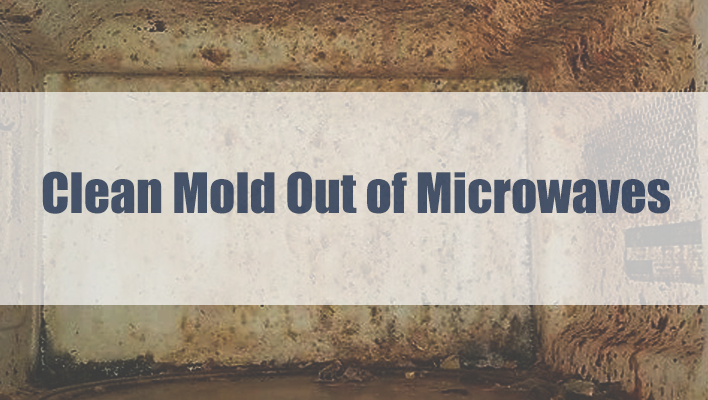 how-to-clean-mold-out-of-microwave